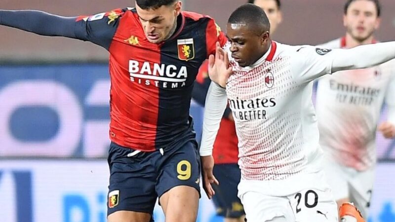 Milan, anche Scamacca in corsa come vice Ibra